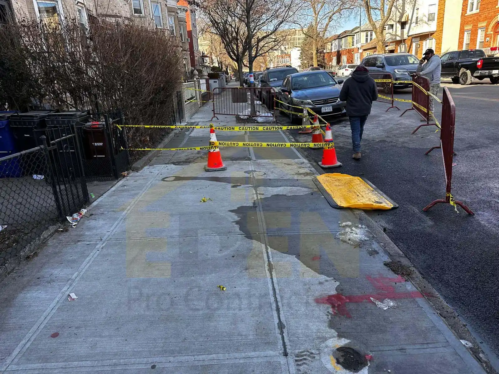 Fix Sidewalks Lifted by Tree Roots